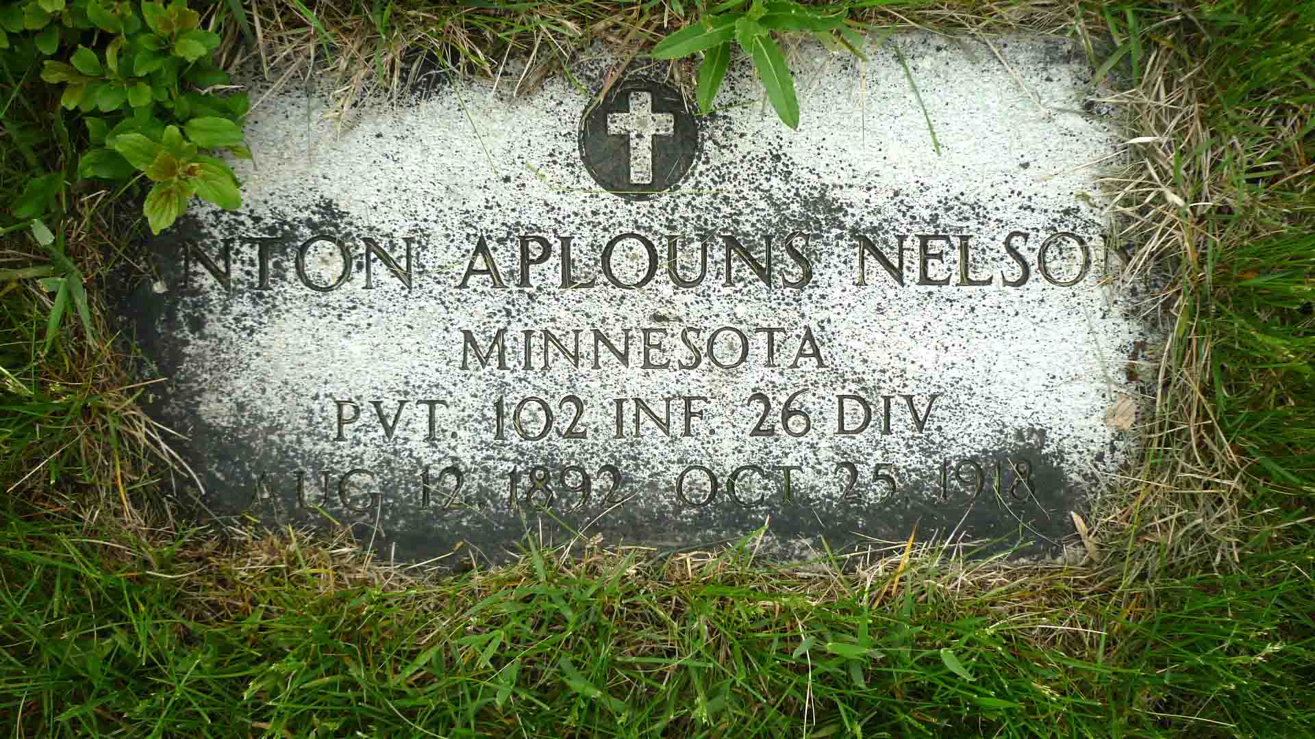 Nelson Anton Aplouns